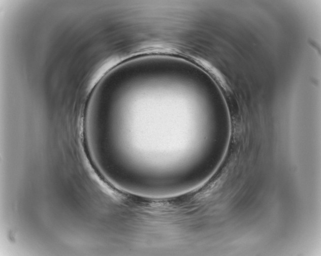 X0000099431383200805091241