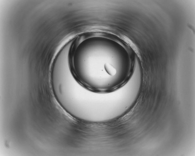 X0000099431384200805091241