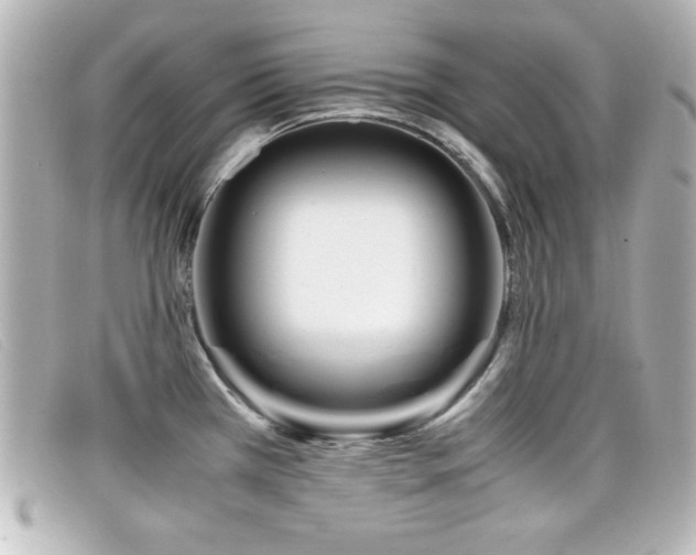 X0000099431385200805091241