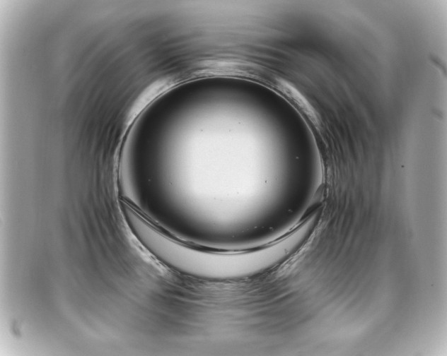 X0000099431386200805091241