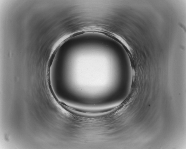 X0000099431387200805091241