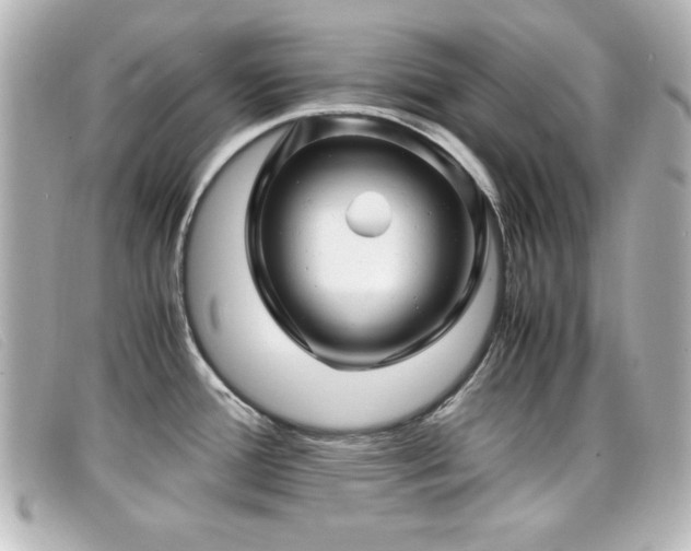 X0000099431388200805091241