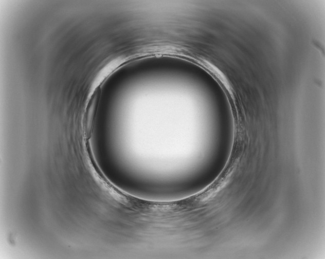 X0000099431389200805091241