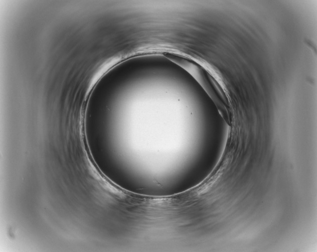 X0000099431390200805091241
