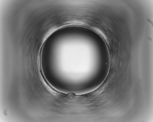 X0000099431391200805091241