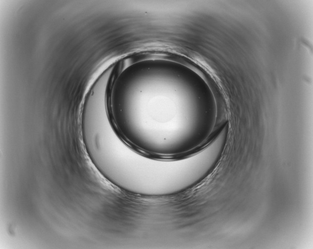 X0000099431392200805091241