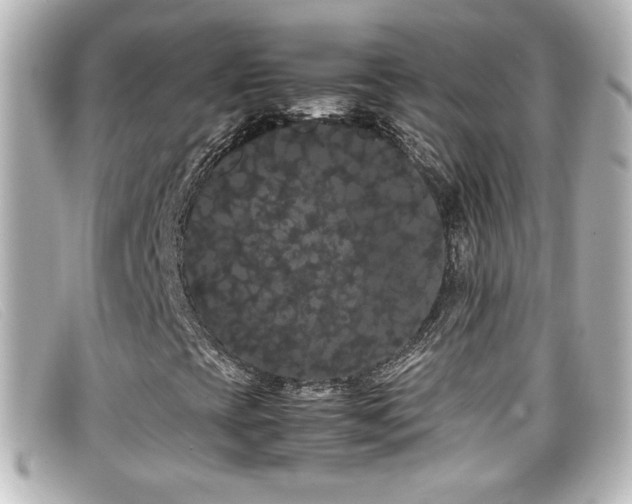 X0000099431393200805091240