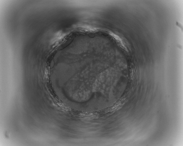 X0000099431397200805091240