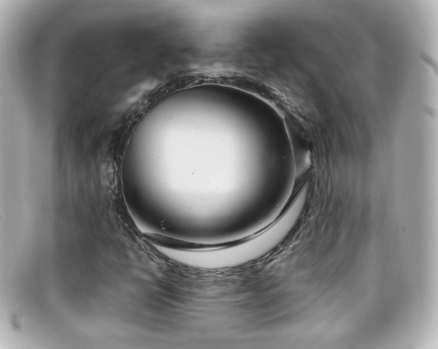 X0000099431398200805091240