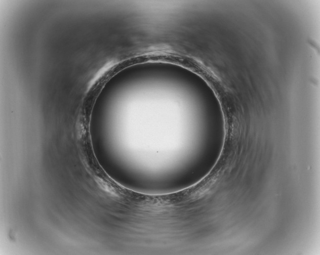 X0000099431400200805091240