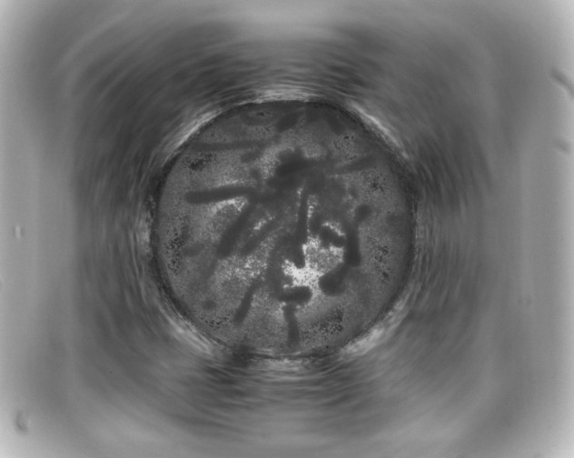 X0000099431401200805091240
