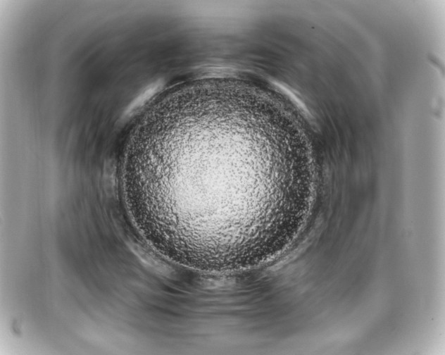 X0000099431403200805091240