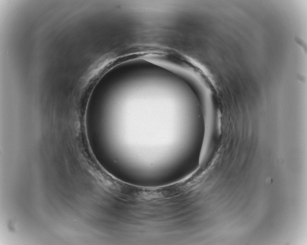 X0000099431407200805091240
