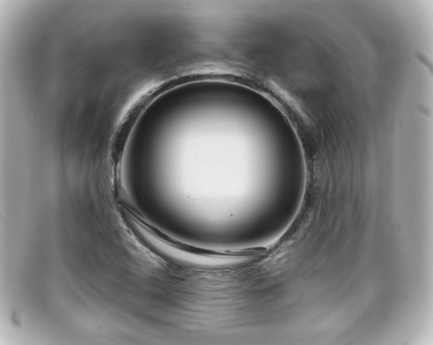 X0000099431408200805091240