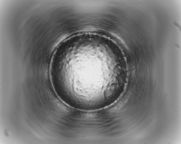 X0000099431409200805091240