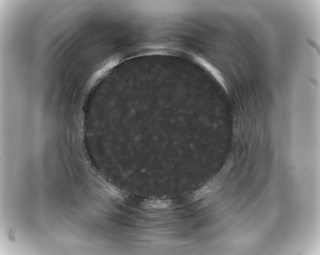 X0000099431411200805091240