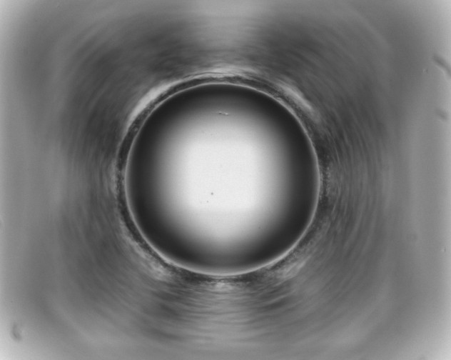 X0000099431412200805091240