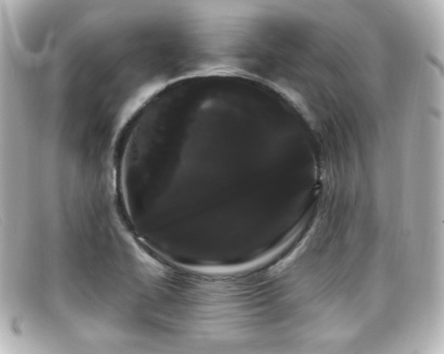 X0000099431414200805091240