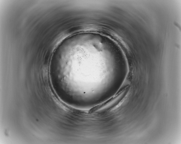 X0000099431417200805091240