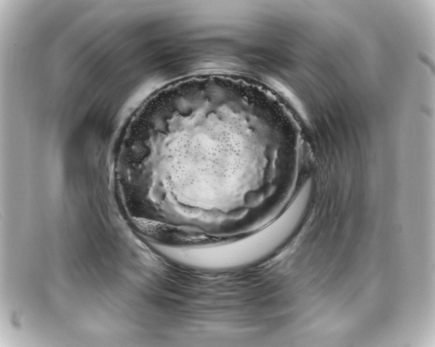 X0000099431419200805091240
