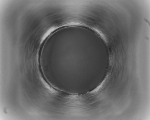 X0000099431422200805091240