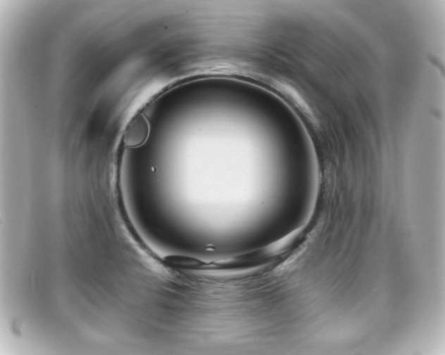X0000099431424200805091240