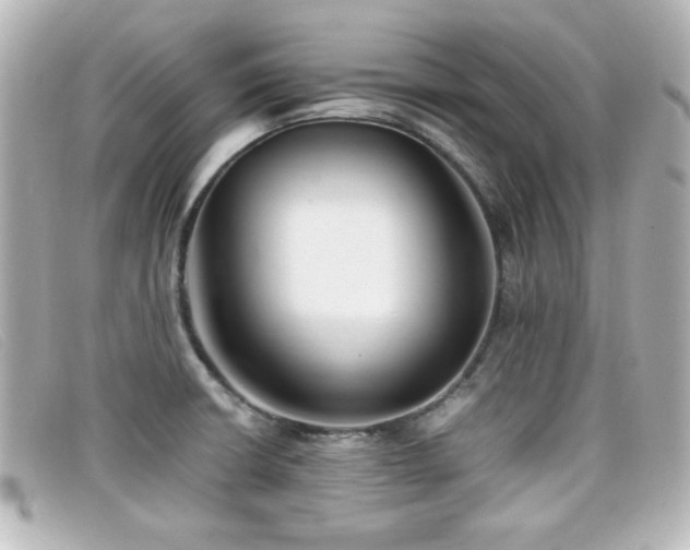 X0000099431426200805091240