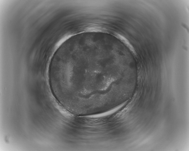 X0000099431427200805091240