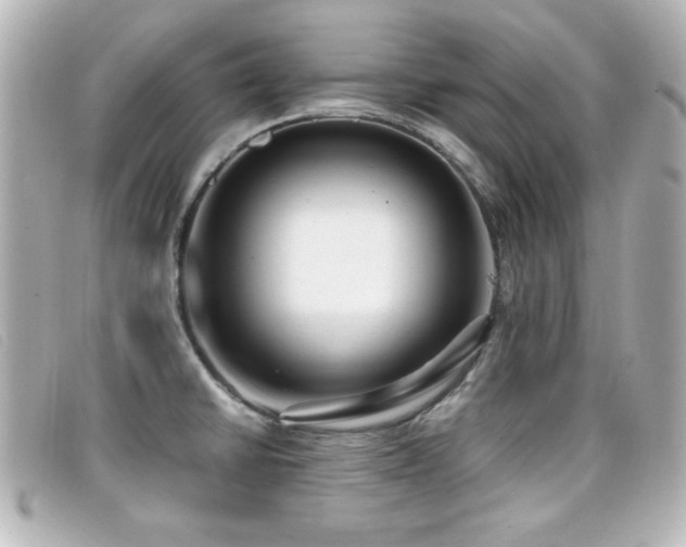X0000099431430200805091240