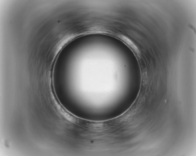 X0000099431431200805091240