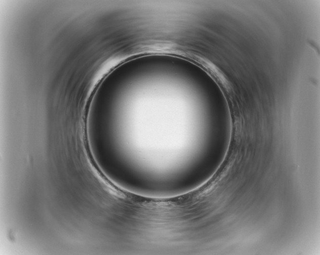 X0000099431432200805091240