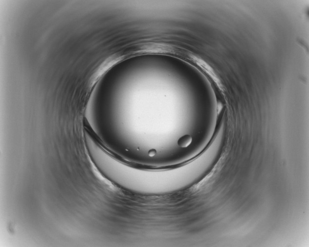 X0000099431433200805091240