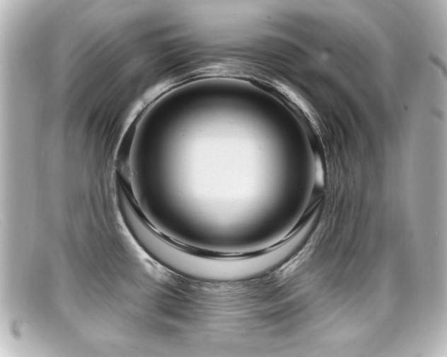 X0000099431434200805091240