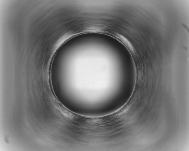 X0000099431435200805091240