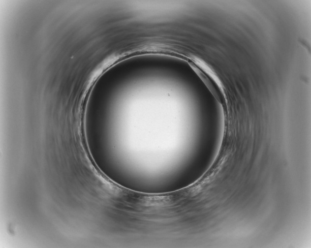 X0000099431437200805091240