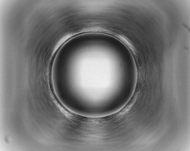 X0000099431438200805091240
