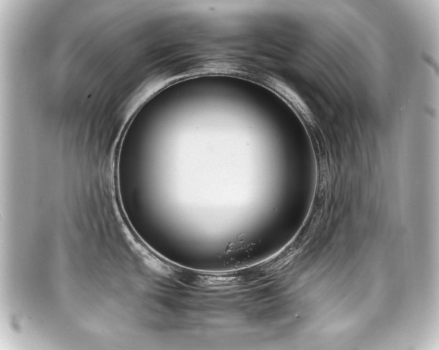 X0000099431439200805091240