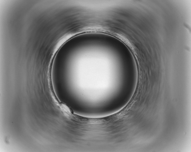 X0000099431440200805091241