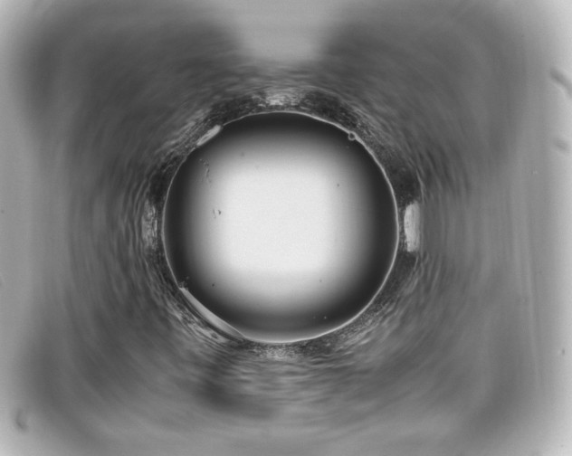 X0000099431443200805091240