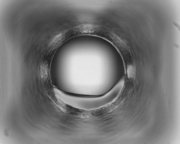 X0000099431444200805091240