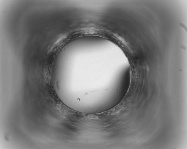 X0000099431446200805091240