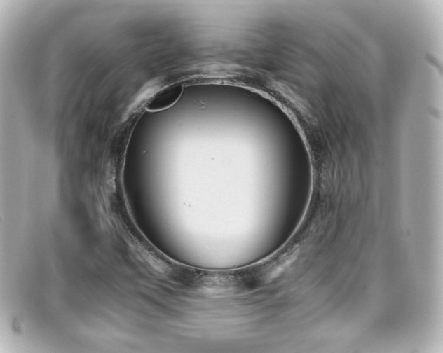 X0000099431451200805091240