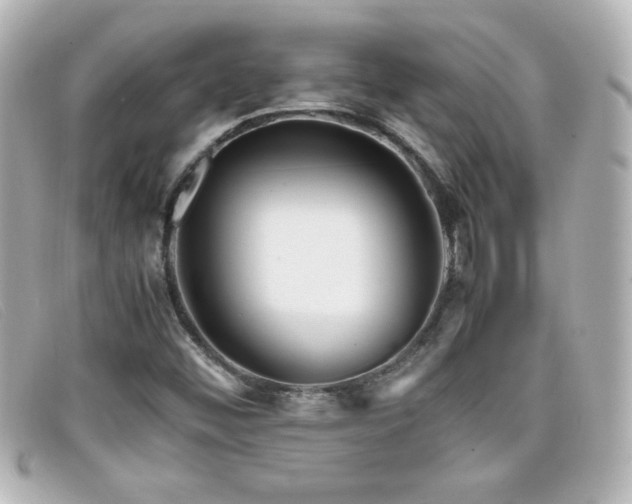 X0000099431452200805091240