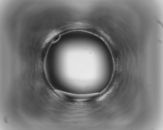 X0000099431453200805091240