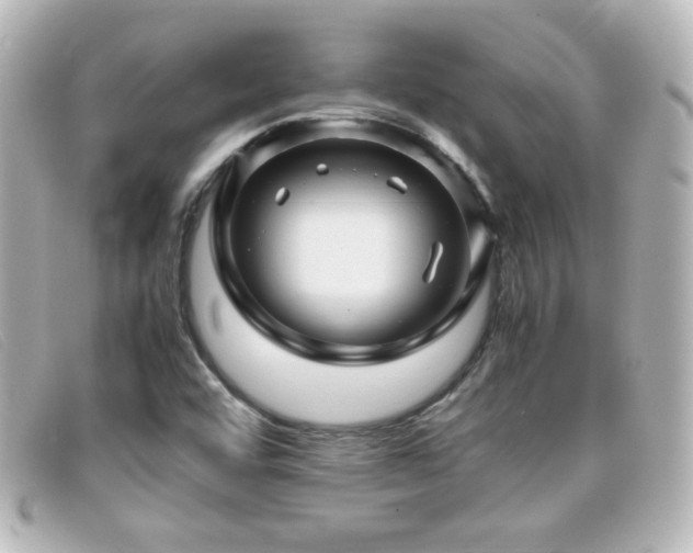 X0000099431456200805091240