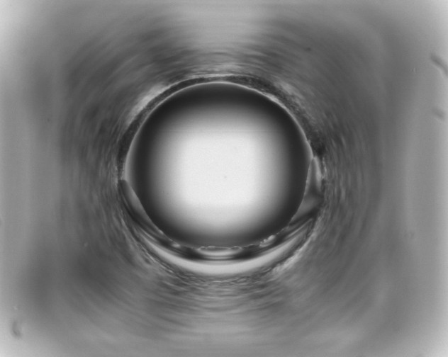 X0000099431457200805091240