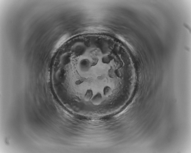X0000099431459200805091240