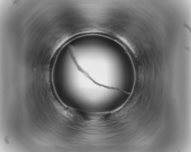 X0000099431460200805091240