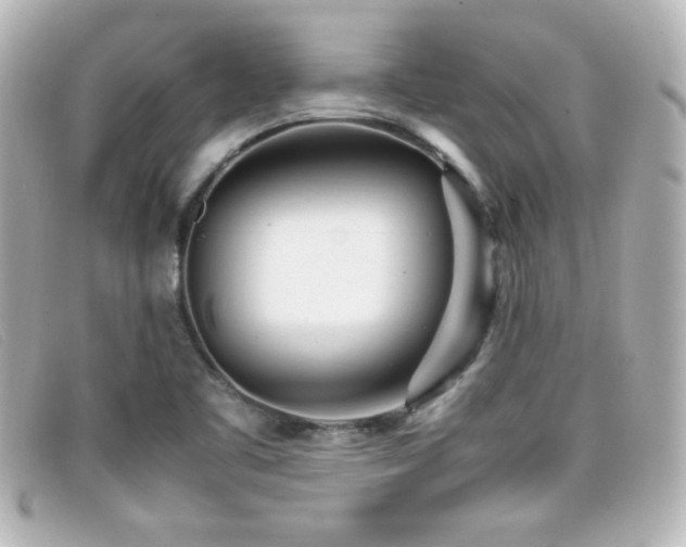 X0000099431461200805091240