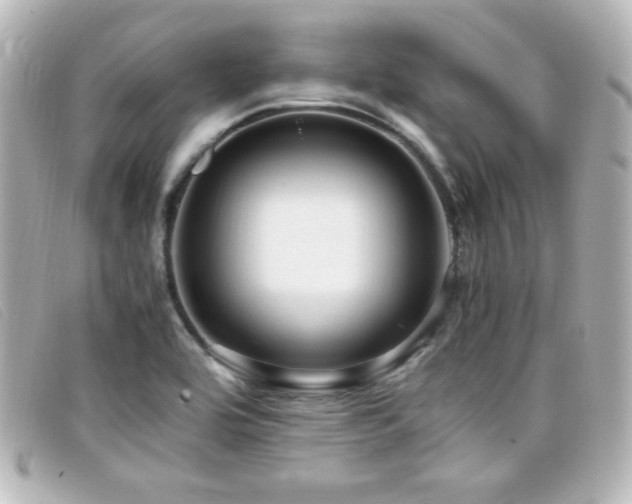X0000099431464200805091239